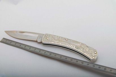 null BUCK, USA, couteau, pliant, lame 510 k en acier inoxydable, 8,5 cm, manche en...