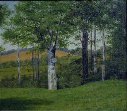 null Vilhelm Kyhn. (1819 - 1903)
Paysage aux arbres, vers 1850 
Huile sur toile
22...