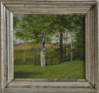 null Vilhelm Kyhn. (1819 - 1903)
Paysage aux arbres, vers 1850 
Huile sur toile
22...