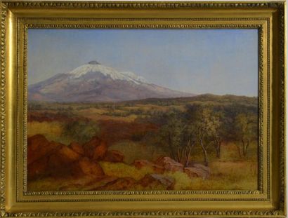null Ernst Meyer. (1797 - 1861)
Paysage de Sicile devant l'Etna
Vers 1840
Huile sur...