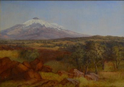 null Ernst Meyer. (1797 - 1861)
Paysage de Sicile devant l'Etna
Vers 1840
Huile sur...