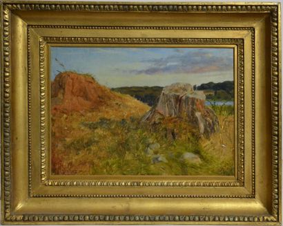 null Vilhelm Kyhn (1819 - 1903)
Esquisse de paysage, 1846
Huile sur toile signée...
