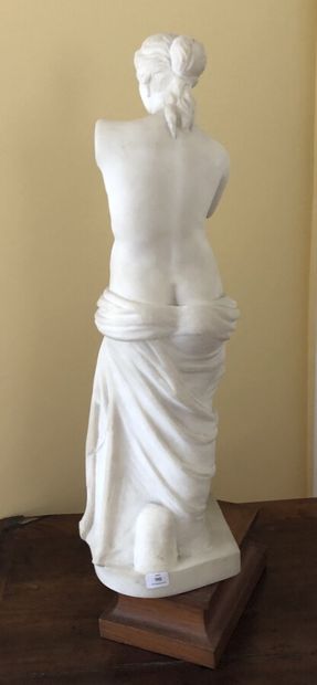 null Statuette en marbre figurant la Vénus de Milo

Haut: 51,5 cm