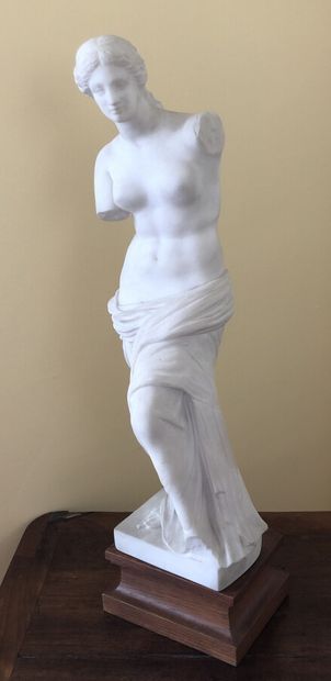 Statuette en marbre figurant la Vénus de...