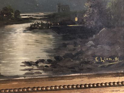 null G (ou C?) LION 81

Moulin sous la lune

Huile sur toile signée en bas à droite

34...