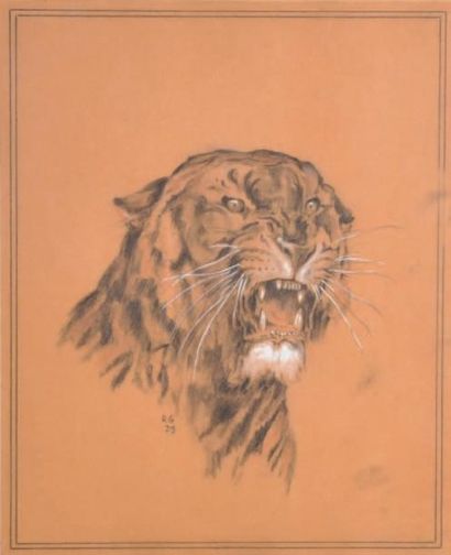GODCHAUX Roger (1878-1958) Tigre rugissant Crayon noir et rehauts de gouache, monogrammé...