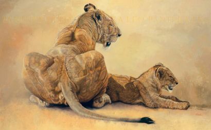 BECK Danielle (née en 1944) Lionne de dos Huile sur toile 130 x 80 cm