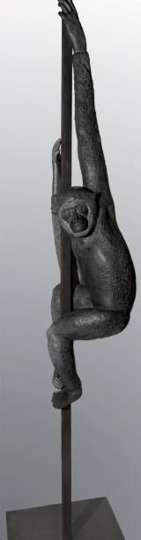 JACQUESSON Florence (née en 1962) Gibbon Bronze à patine noire et gris-vert, signé...