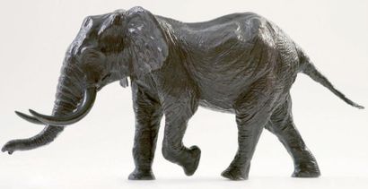COLCOMBET Damien (né en 1967) Eléphant d'Afrique chargeant Bronze à patine brune,...