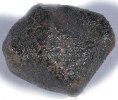 Rare météorite complète Camel Donga orientée....