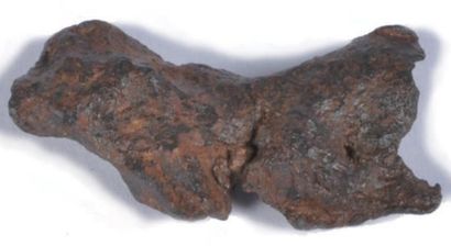 null Météorite Haig. Balgair, Nullabor , Australie. Classification: Iron Octahedrite...
