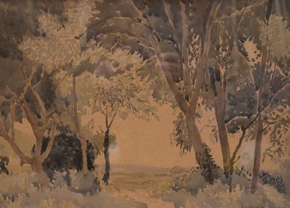 null Philippe G NEEDELL (1886-1974)

Sous-bois

Aquarelle signée en bas à droite

23...