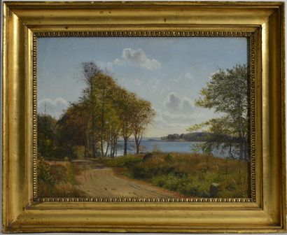 null Vilhelm Kyhn (1819 - 1903)

The lakes of Silkeborg

Oil on canvas monogrammed...