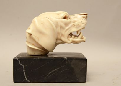 null School of the XIXth century 

Head of a growling dog

Carved ivory (cracks,...