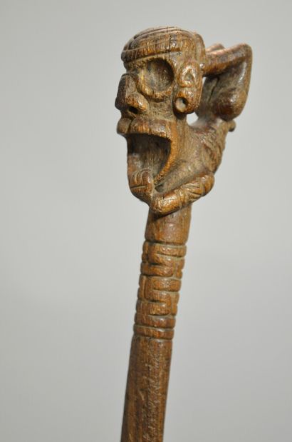  Spatule vomitive 
Cette longue spatule qui était utilisée lors du rituel de cohoba,...