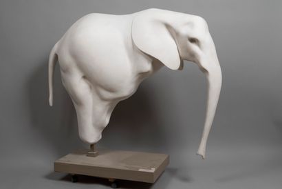 LHOSTE 
L'éléphant, 1957 (éléphanteau) 
Plâtre...