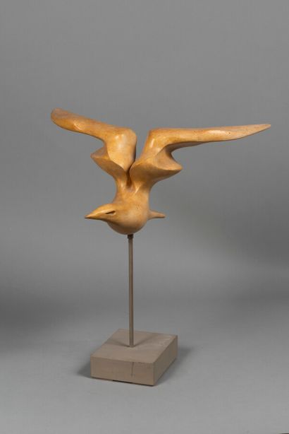 null LHOSTE

Gliding bird n°1

Varnished plaster

Height : 21 cm

(small lack)