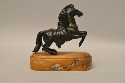 null School of the XVIIIth century

Prancing horse

Bronze with black brown patina...