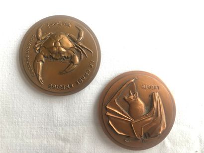 SET OF TWO MEDALS

LHOSTE

Bat

Copper medal,...