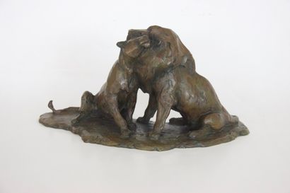 null Jean-Marc BODIN (born in 1965)

Couple of lions

Bronze signed and numbered...