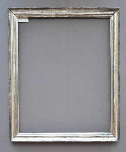 null BAGUETTE en bois mouluré argenté

XIX° siècle

78 x 62 x 6 cm