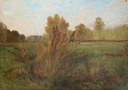 null Auguste ANASTASI (1820-1889)

Study of reeds 

Oil on canvas 

Sales label and...