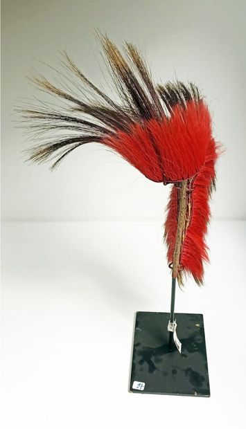 null Large ROACH in porcupine hair dyed war red for half and left natural for the...