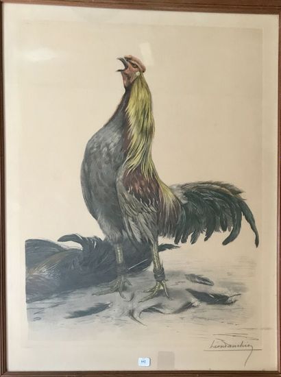 Léon DANCHIN (1887-1939)
Coq de combat vainqueur
Lithographie...