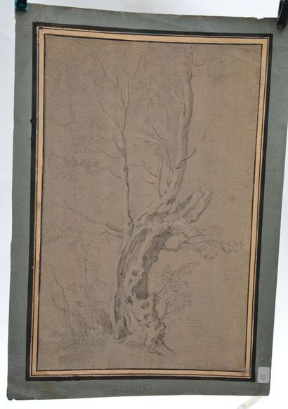 null Ecole française du XVIIIe siècle 

Etude d'arbre

43 x 27,5 cm

Pierre noire...