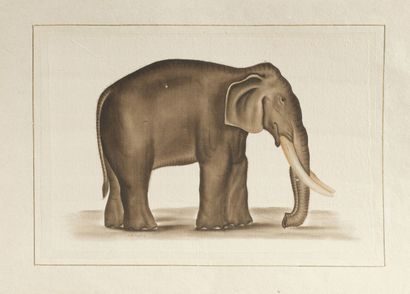 null L.R LAFFITTE (XXe siècle)
Deux éléphants
Suite de deux aquarelles sur soie contrecollées...