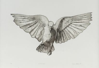 null ABELANET Sylvie (born in 1962)
Dove 
Etching and aquatint on hannemühle paper...