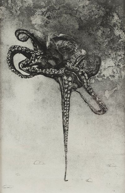 null SZTUKA Marie-Liesse (née en 1957)
Octopus
Pointe sèche et aquatinte sur papier...