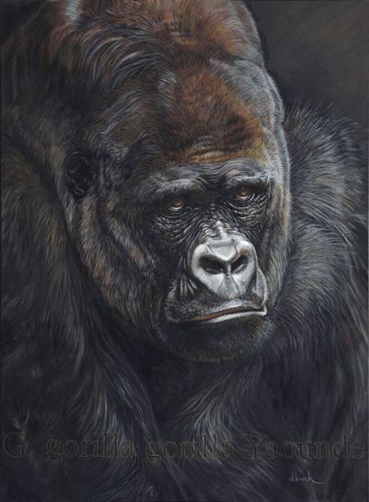 null BECK Danielle (née en 1944)
Yaoundé gorille des plaines
Huile sur toile lin...