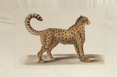 null L.R LAFFITTE (XXe siècle)
Tigre et Léopard
Suite de deux aquarelles sur soie...
