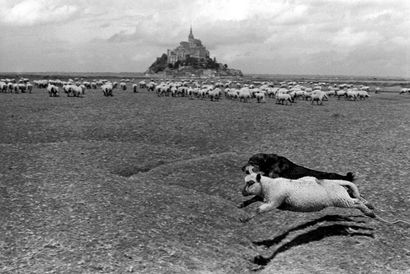 null LE DIASCORN François (né en 1947)
Le Mouton et le Chien 
Mont-Saint-Michel,...
