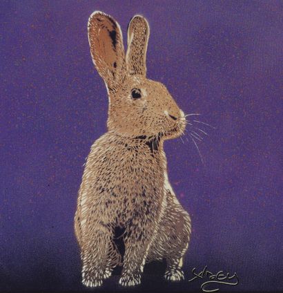 null ADEY (née en 1981)
Le petit lapin
Aérosol et acrylique sur toile,
Signée en...