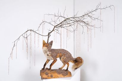 null Julien SALAUD (born in 1977)
Spring (fox nymph), 2014
Naturalized fox, seed...