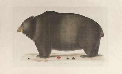 null L.R LAFFITTE (XXe siècle)
Bison et Ours noir
Suite de deux aquarelles sur soie...