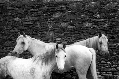 null LE DIASCORN François (born in 1947)
Equestrian Trinity
Killorglin Fair, Ireland,...