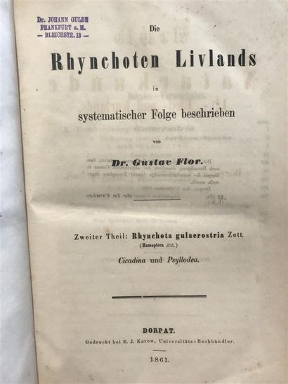null FLOR (Dr Gustav.) Die Rhychoten Livlands in systematischer Folge beschrieben...