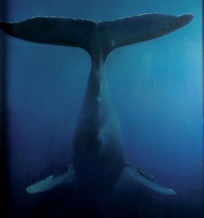 RAYNAUD Aurélien (né en 1970) Queue de baleine Huile sur toile signee en bas a droite...