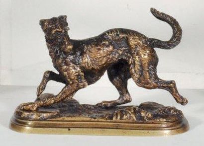 MOIGNEZ Jules (1835-1894) Chien Bronze a patine doree, signe. H: 3,8 cm, L: 9 cm,...