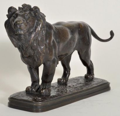 JACQUEMART André (XIXème-XXème) Lion debout Bronze a patine noire mordoree, signe...
