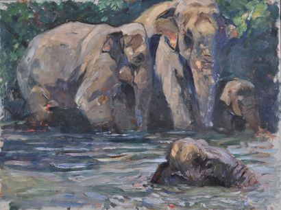 BRENET Albert (1903-2005) Le bain des éléphants Huile sur toile 53,5 x 71,5 cm