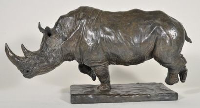 COLCOMBET Damien (né en 1967) Rhinocéros blanc chargeant Bronze a patine brune, signe...