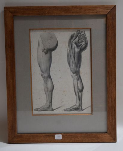 null Planche anatomique de jambe d'homme
Lithographie en noir
27,5 x 18,5 cm (à vue)
piquée...