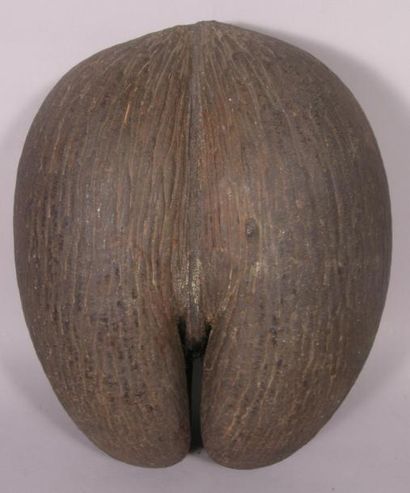 null Une NOIX de coco en forme de fesses, dite "coco-fesses" - Haut.: 28 cm -
