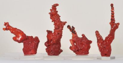 null Quatre coraux fossiles de Chine teintés rouge - Haut de 13 à 20 cm