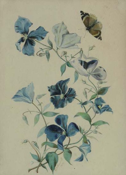 C.D'EPOUVILLY, 1834 Liseron et papillon Aquarelle sur papier signée et datée en bas...