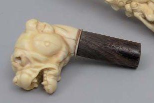 null POMMEAU de CANNE en ivoire sculpté en forme de tête de bouledogue Haut : 5 ...